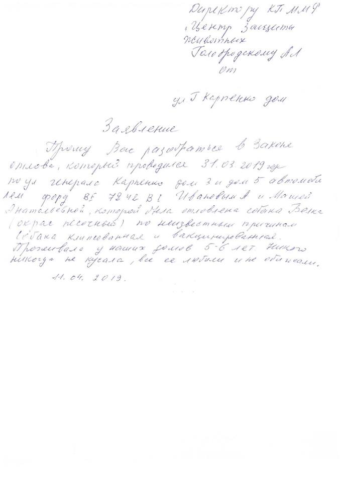 В Николаеве зоозащитники незаконно и жестоко отловили любимицу двора Белку. Жители уверены – чтобы продать собаку в Германию 8