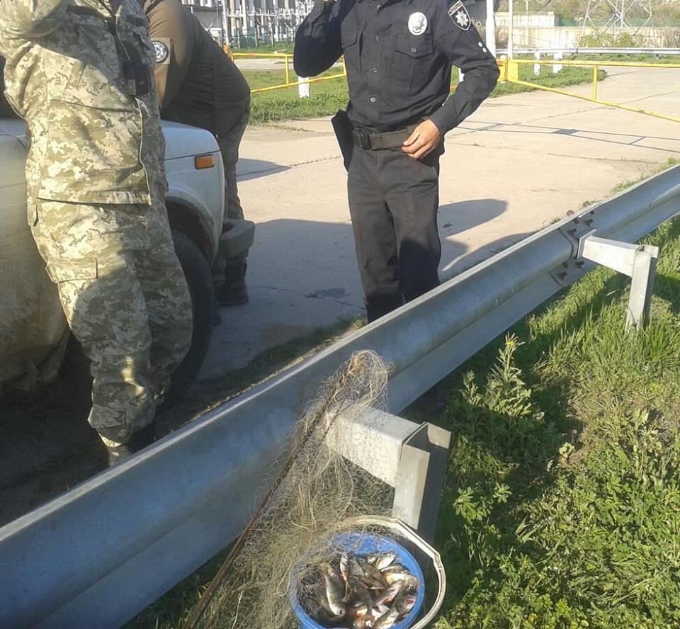 На Николаевщине задержали браконьера, который «пауком» наловил 7 кг молоди окуня и краснокнижной шемаи 3