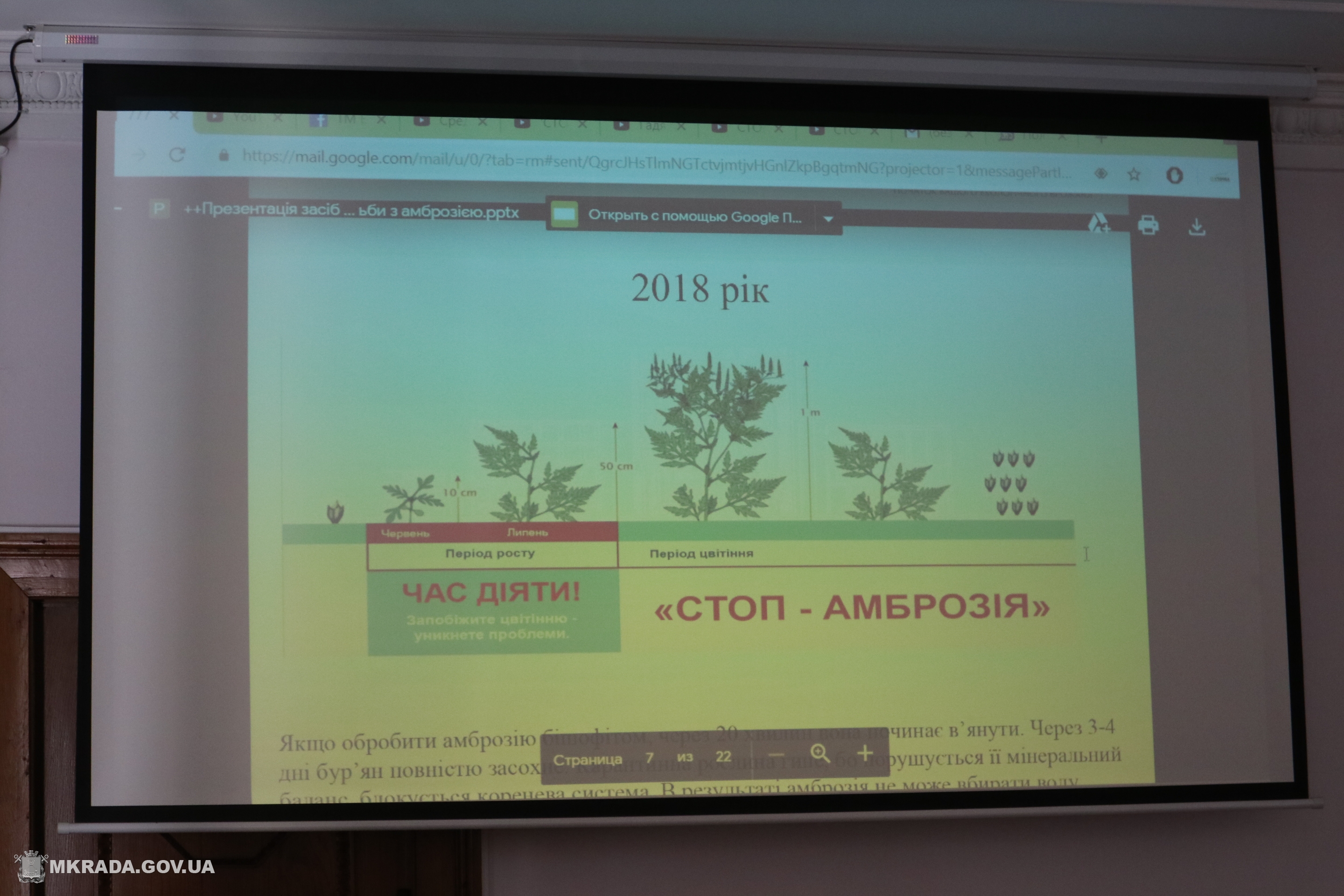 Панацея от амброзии? Мэр Николаева предлагает закупить и протестировать препарат для борьбы с растением-аллергеном