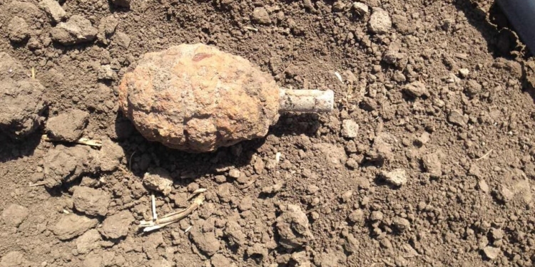 Долго же они лежали: на Николаевщине откопали и обезвредили две гранаты Ф-1