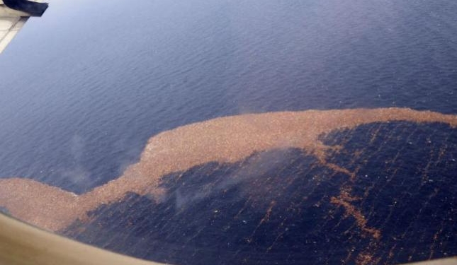 Загрязнение океана пластиком обходится миру в $ 2,5 триллиона в год