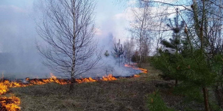 Под Черниговом горит лес