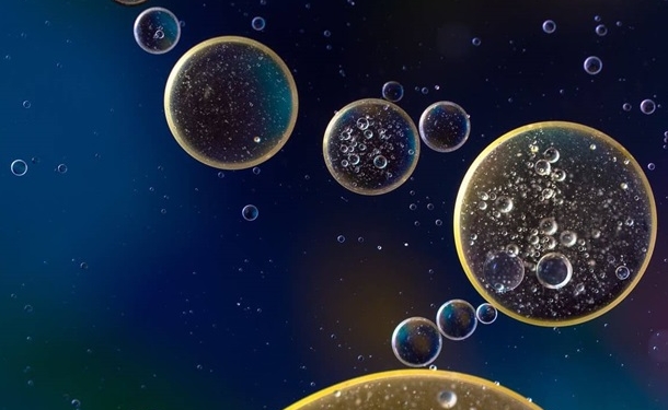 В Марианской впадине нашли пожирающие нефть бактерии