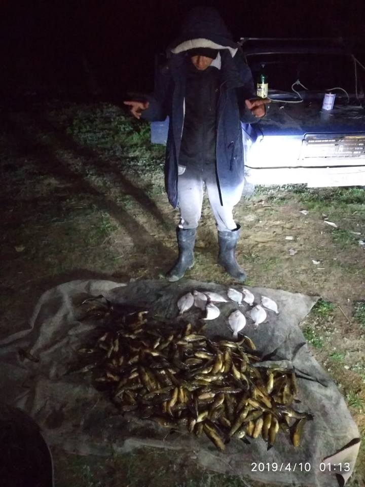 Николаевский рыбоохранный патруль за один день изъял 9 незаконных орудий лова и 65 кг рыбы 5