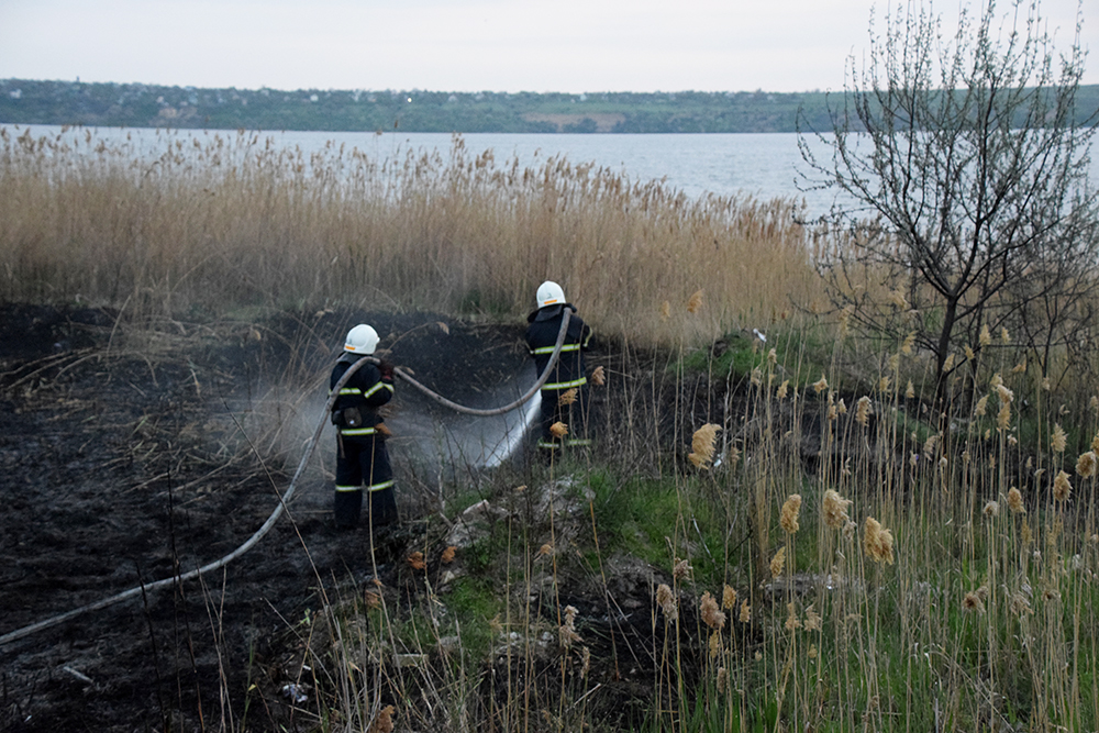 Вчера в Николаеве на берегу горел камыш, а в Балабановке – хвойная подстилка 7