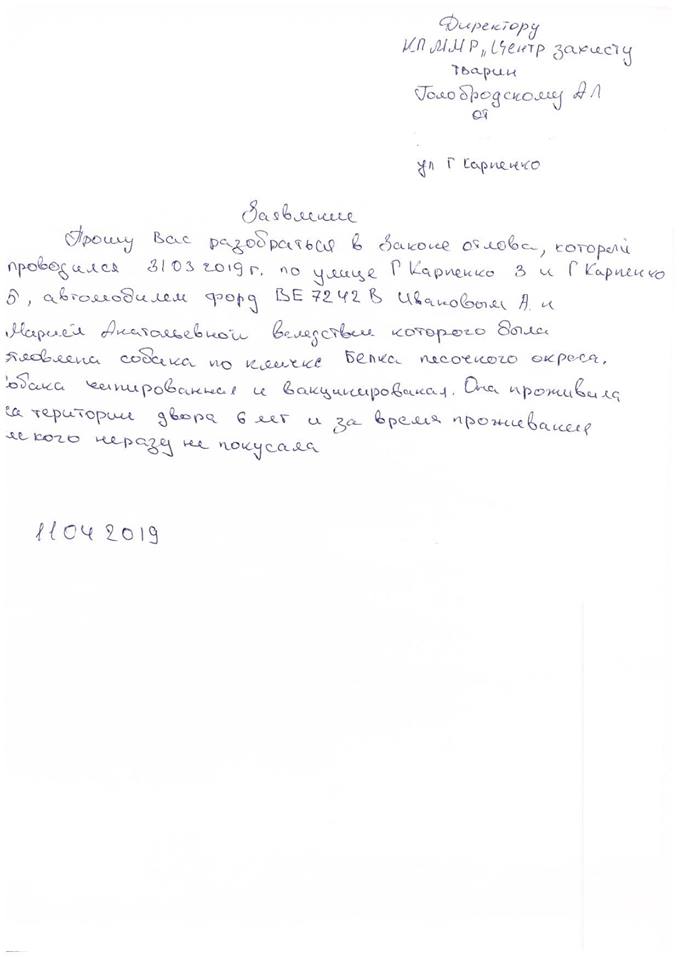 В Николаеве зоозащитники незаконно и жестоко отловили любимицу двора Белку. Жители уверены – чтобы продать собаку в Германию 12