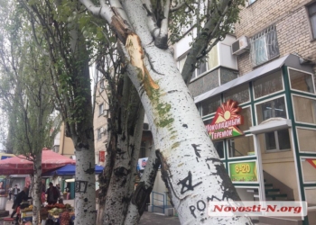 Грузовик дверью свалил дерево в центре Николаева