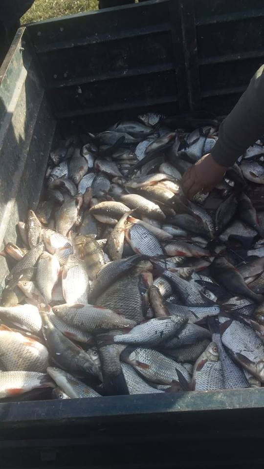 На Николаевщине рыбоохранный патруль поймал браконьеров с сетями длиной 1,2 км 9