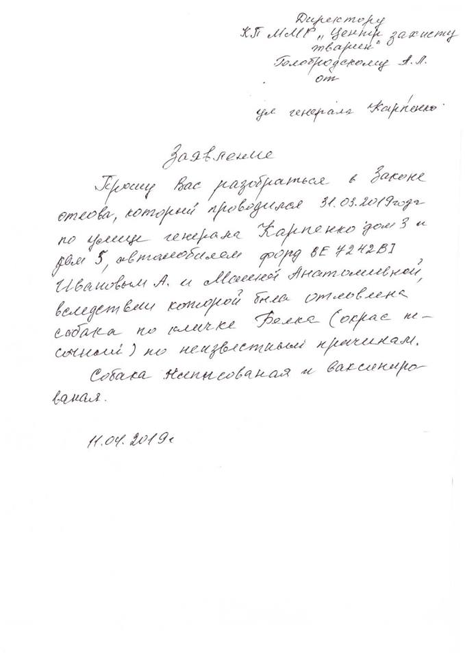 В Николаеве зоозащитники незаконно и жестоко отловили любимицу двора Белку. Жители уверены – чтобы продать собаку в Германию 14