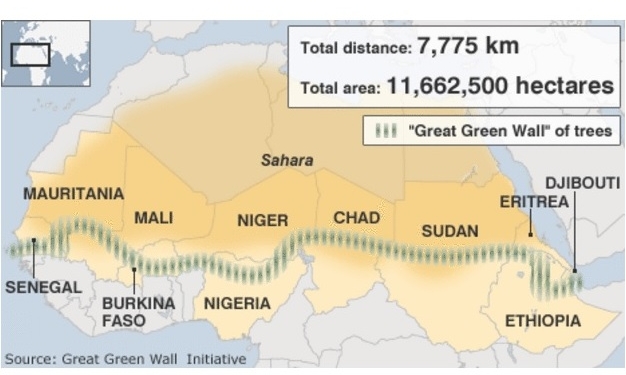 В Африке садят гигантскую лесополосу длиной 8000 км, которая пересечет 11 стран