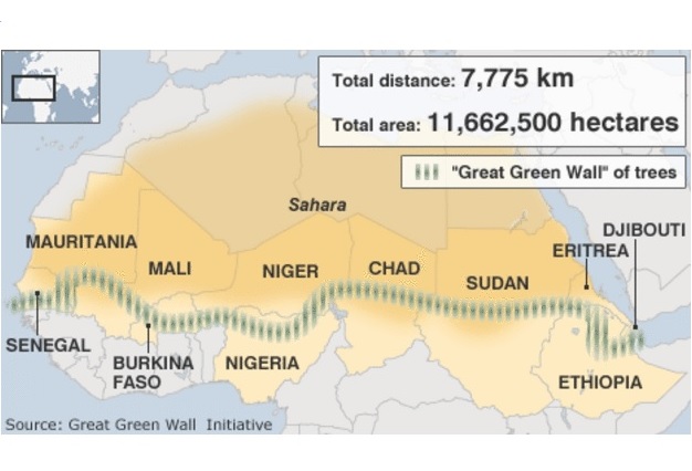 В Африке садят гигантскую лесополосу длиной 8000 км, которая пересечет 11 стран 1