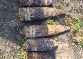 В Николаевской области обезвредили 5 артснарядов и мину