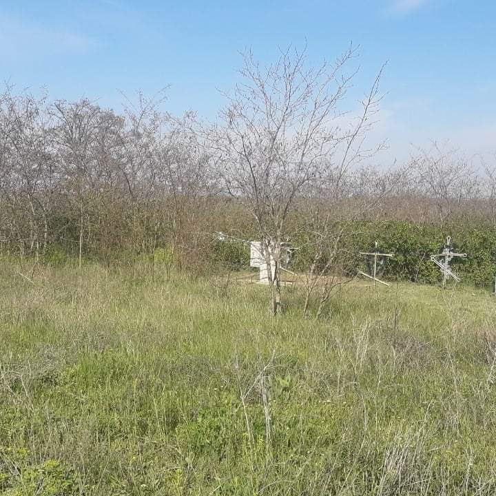 На заброшенное кладбище в Березанском районе отказываются идти даже священники 3