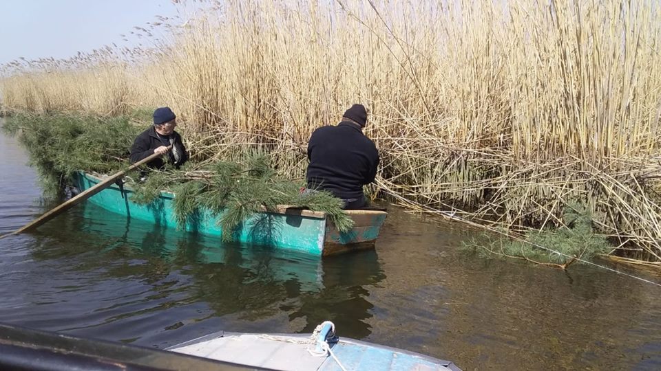 На водоемах Николаевщины установили почти 4 тысячи нерестовых гнезд для рыбы 11