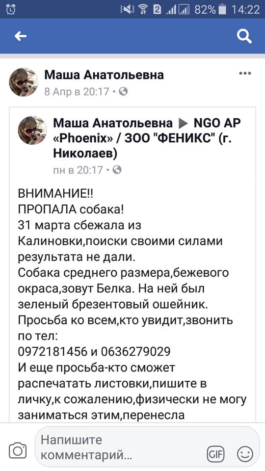 В Николаеве зоозащитники незаконно и жестоко отловили любимицу двора Белку. Жители уверены – чтобы продать собаку в Германию 18