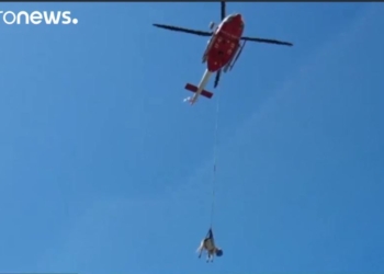 Мимино. В Италии увидели летящую корову – ее нес вертолет спасателей