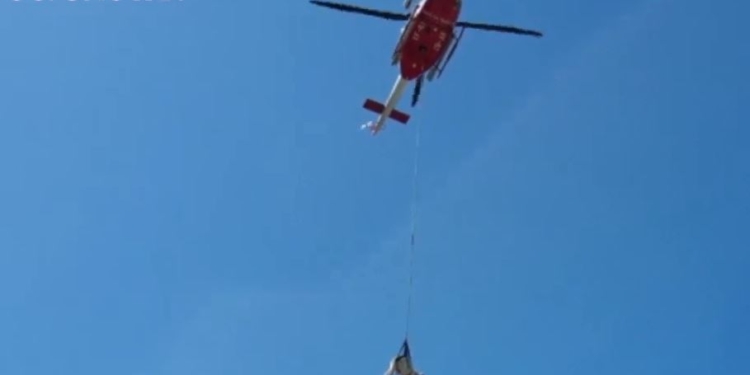 Мимино. В Италии увидели летящую корову – ее нес вертолет спасателей