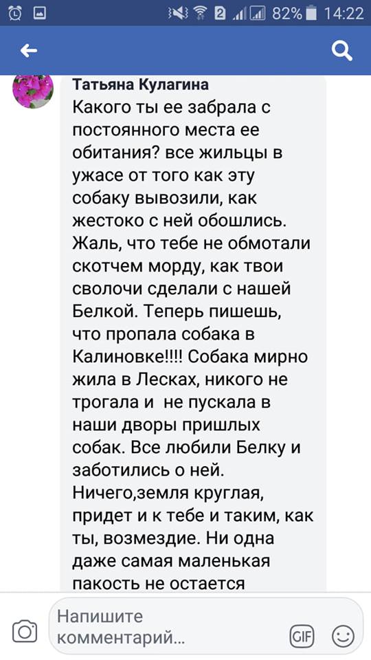 В Николаеве зоозащитники незаконно и жестоко отловили любимицу двора Белку. Жители уверены – чтобы продать собаку в Германию 22