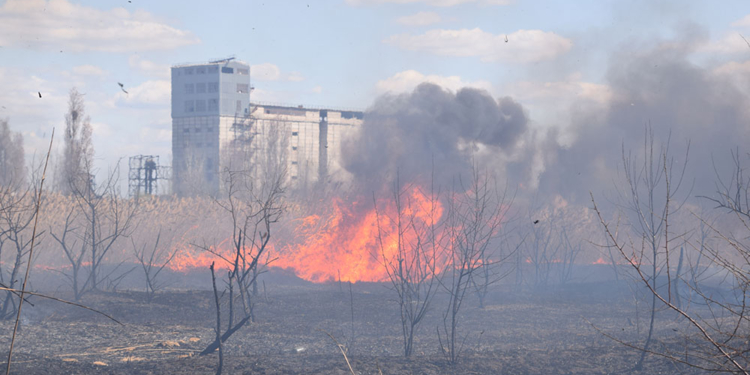 За минувшие сутки на Николаевщине из-за поджогов опять горели камыши и сухая трава