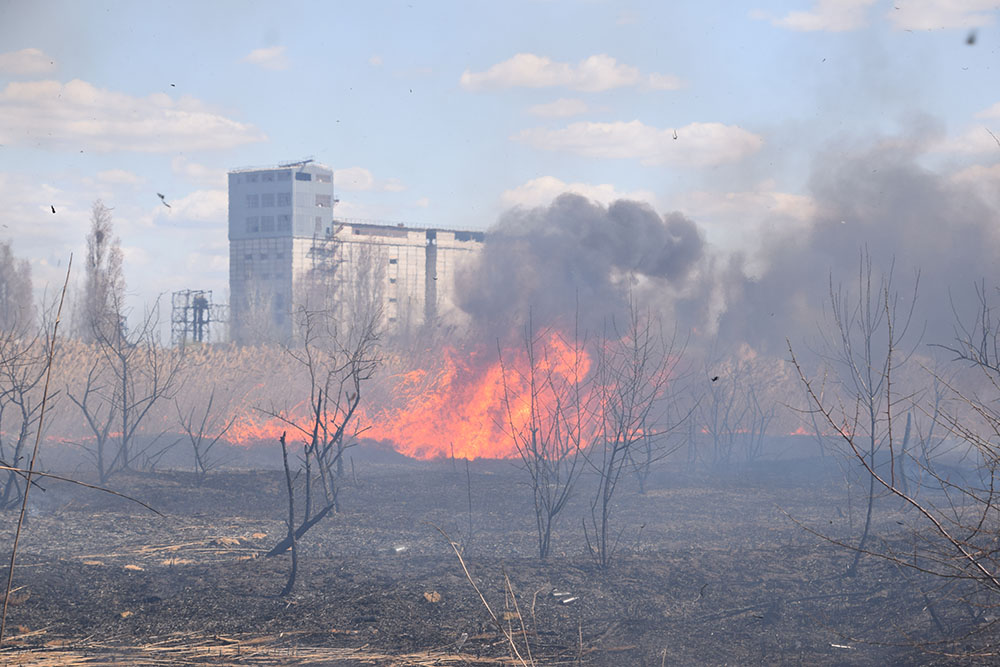 За минувшие сутки на Николаевщине из-за поджогов опять горели камыши и сухая трава 3