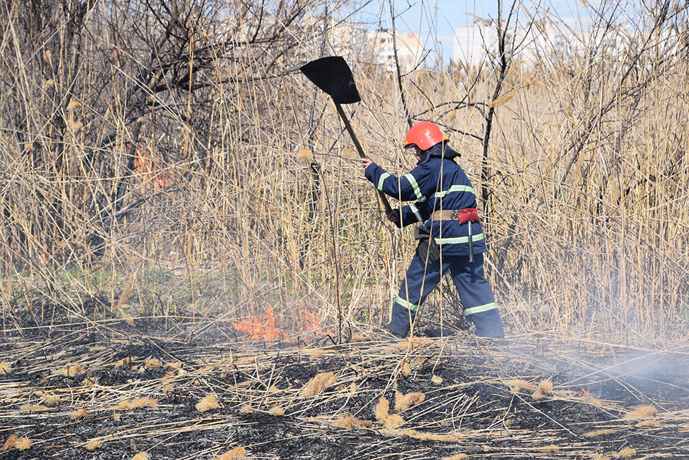 За минувшие сутки на Николаевщине из-за поджогов опять горели камыши и сухая трава 7