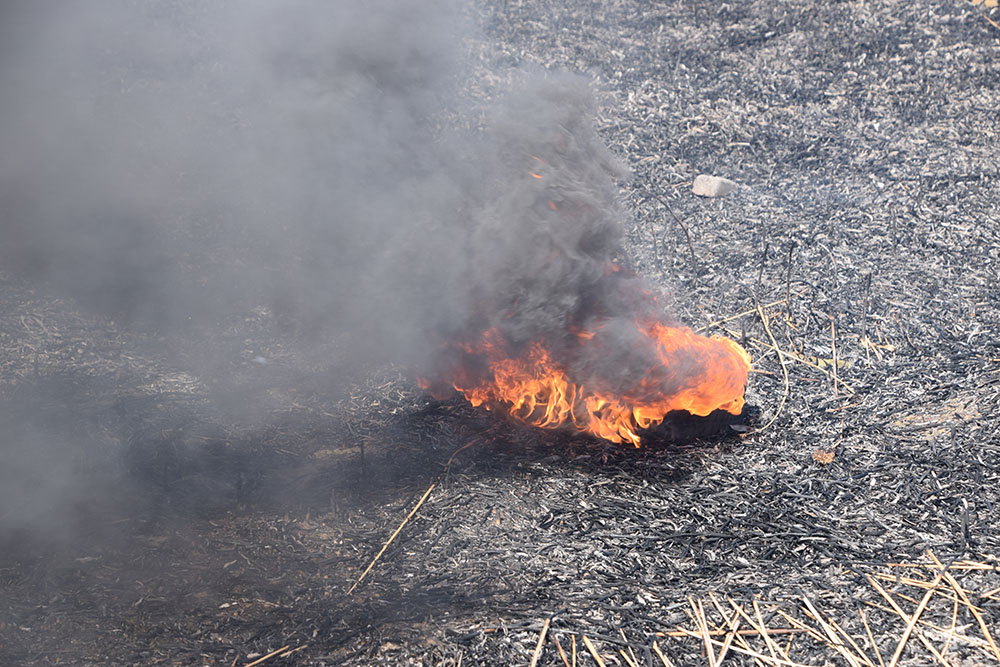 За минувшие сутки на Николаевщине из-за поджогов опять горели камыши и сухая трава 9