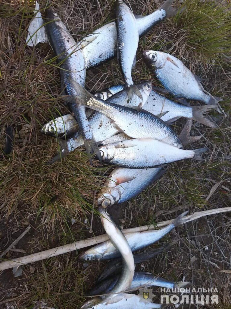 На Николаевщине разоблачили браконьеров, которые в нерест ловили рыбу запрещенными орудиями 3