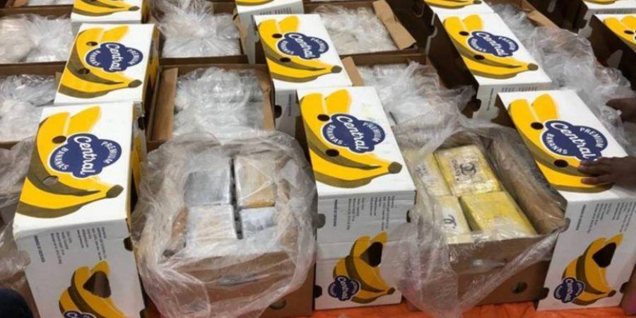 В Нидерландах среди бананов обнаружили 1,6 тонны кокаина 1