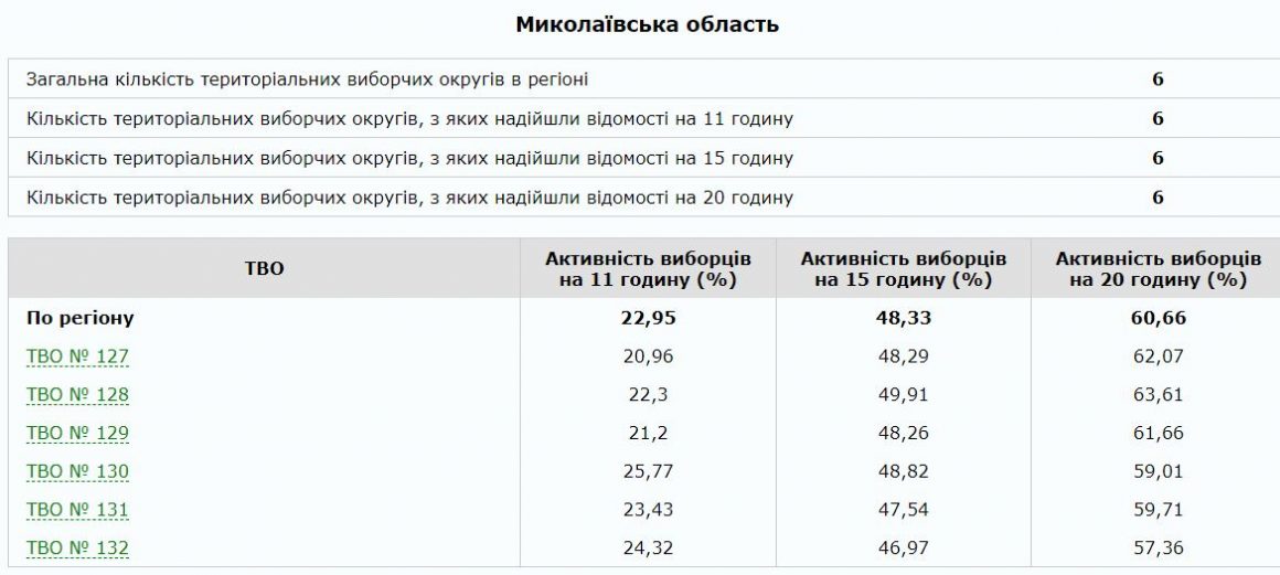 В Николаевской области проголосовало 60,66% избирателей 1