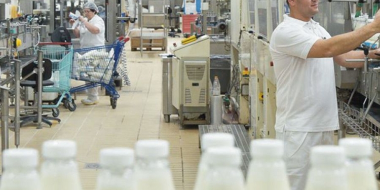 На Полтавщине построят первый в Украине кооперативный молокозавод