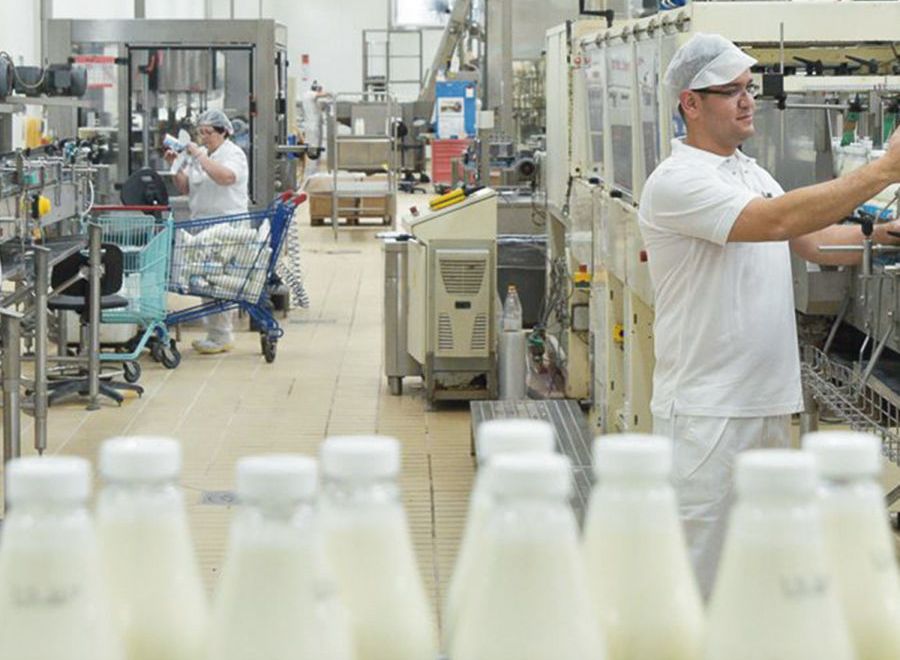 На Полтавщине построят первый в Украине кооперативный молокозавод 1