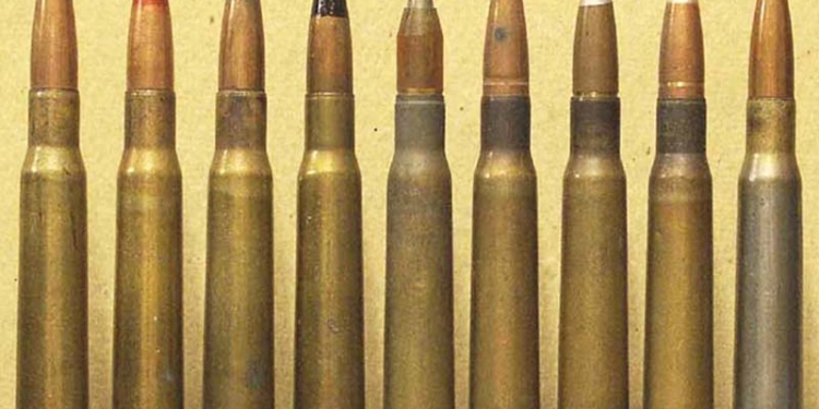 В Николаеве рыбак выловил из Ингула пакет с крупнокалиберными патронами