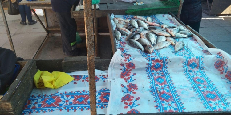 Нерестовый запрет: в Николаеве полицейские изъяли 15 кг рыбы на рынках