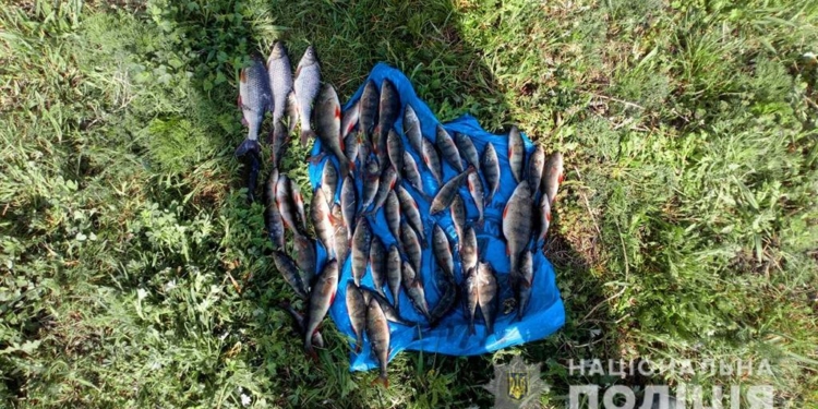На Николаевщине поймали браконьера, выловившего “пауком” полсотни карасей