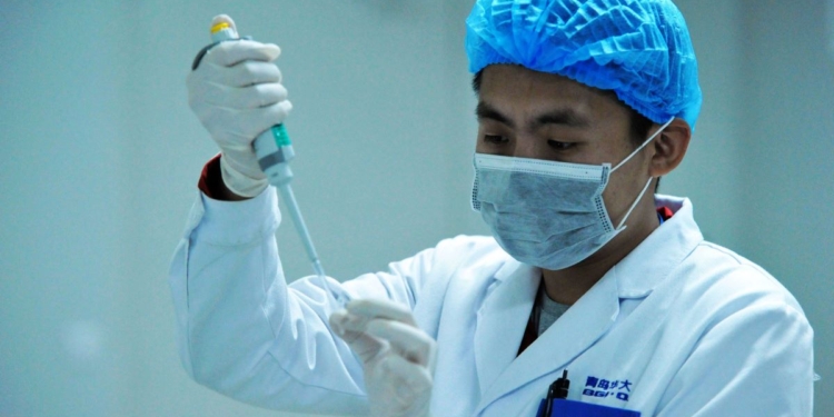 Шариков грядет? Китайские ученые пересадили гены человека макакам