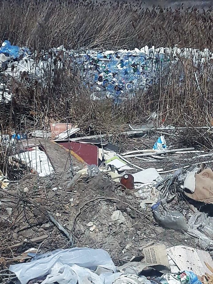 В Коблево предприниматель поймал «на горячем» людей, сбрасывающих мусор у моря 9