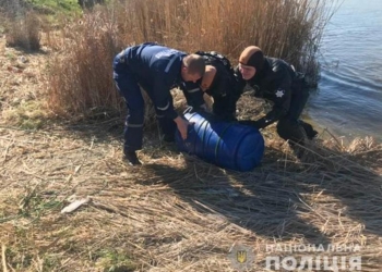 Тайна найденных на свалке Николаева человеческих останков раскрыта: сын убил и расчленил мать