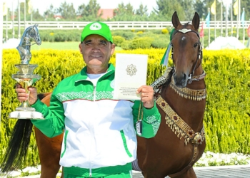 В Туркменистане выбрали самого красивого коня 2019 года