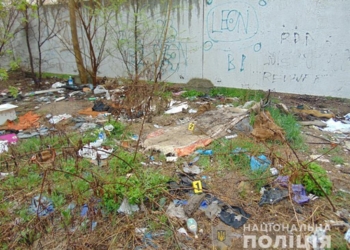 Полицейские задержали насильника женщины в Заводском районе Николаева