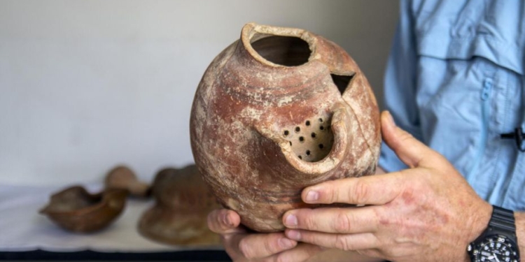 В Израиле сварили пиво из 5000-летних дрожжей