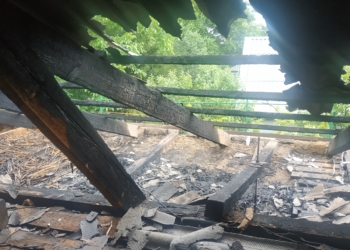 На Николаевщине пожарные спасли от полного уничтожения две дачи и частный дом (ФОТО)