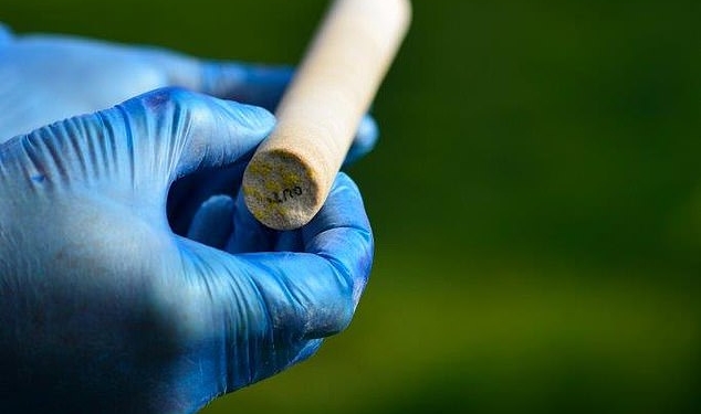 Кусочек Стоунхенджа спустя 60 лет вернулся в Британию (ФОТО)