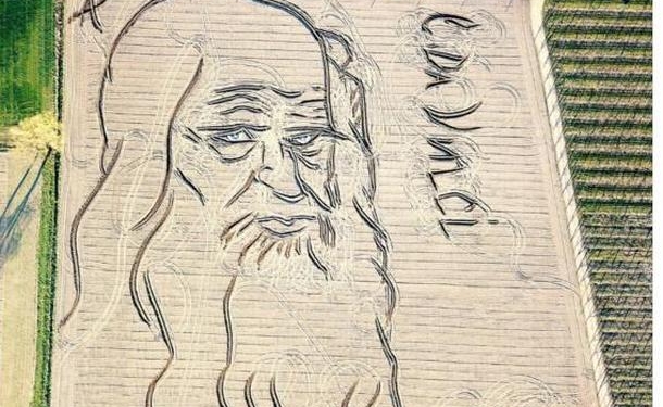К 500-летию со дня смерти великого Леонардо: портрет художника воссоздали на поле в 2,7 га