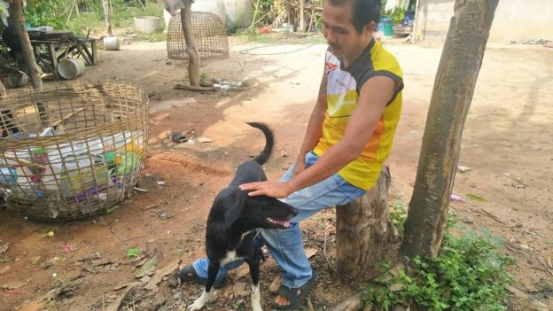 В Таиланде собака-инвалид спасла похороненного заживо младенца (ФОТО) 3