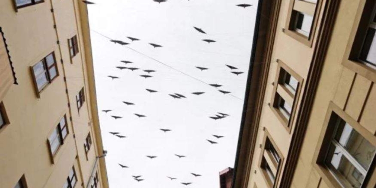 Чтобы не забывали смотреть на небо: в Ивано-Франковске появилась “воздушная” скульптура