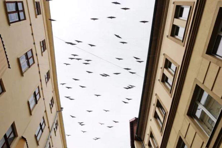Чтобы не забывали смотреть на небо: в Ивано-Франковске появилась "воздушная" скульптура 1