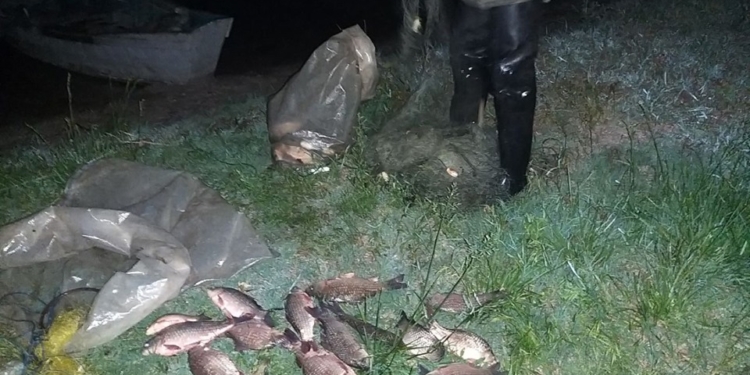 На Николаевщине полиция с Госэкоинспекцией вытралили на Южном Буге браконьерские сети длиной 1 км (ФОТО)