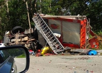 Обезьяны напали на пожарную машину в Малайзии