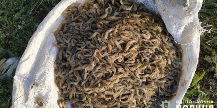 Мужчина, ловивший креветку на Березанском лимане, был задержан полицией (ФОТО)