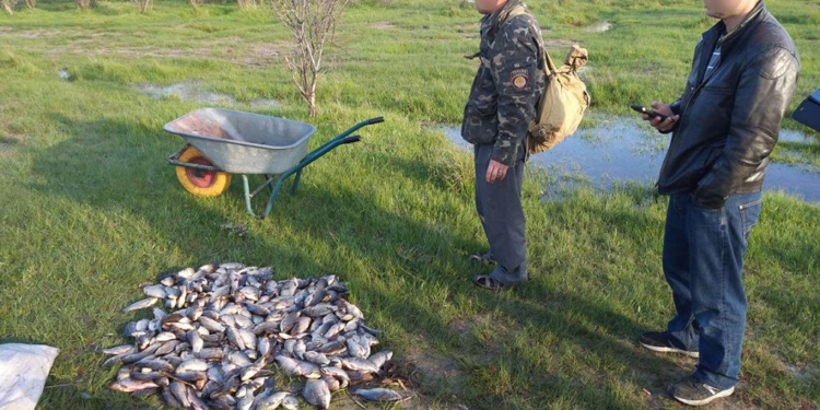 На Николаевщине полицейские задержали двоих браконьеров с почти полтысячей карасей